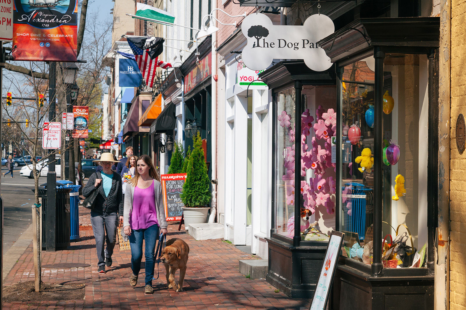 A dog takes its human for a walk on King Street. Alexandria is one of America's most dog-friendly cities.